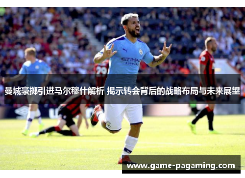 曼城豪掷引进马尔穆什解析 揭示转会背后的战略布局与未来展望