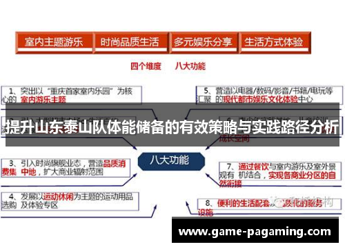 提升山东泰山队体能储备的有效策略与实践路径分析