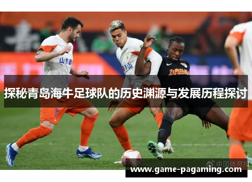 探秘青岛海牛足球队的历史渊源与发展历程探讨 探秘青岛海牛足球队的历史渊源与发展历程探讨