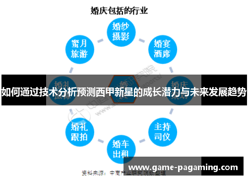 如何通过技术分析预测西甲新星的成长潜力与未来发展趋势 如何通过技术分析预测西甲新星的成长潜力与未来发展趋势