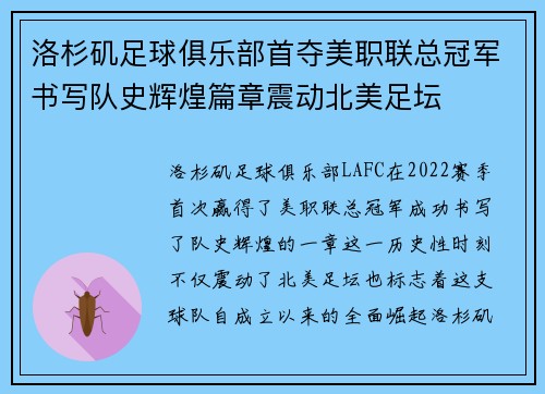洛杉矶足球俱乐部首夺美职联总冠军书写队史辉煌篇章震动北美足坛 洛杉矶足球俱乐部首夺美职联总冠军书写队史辉煌篇章震动北美足坛